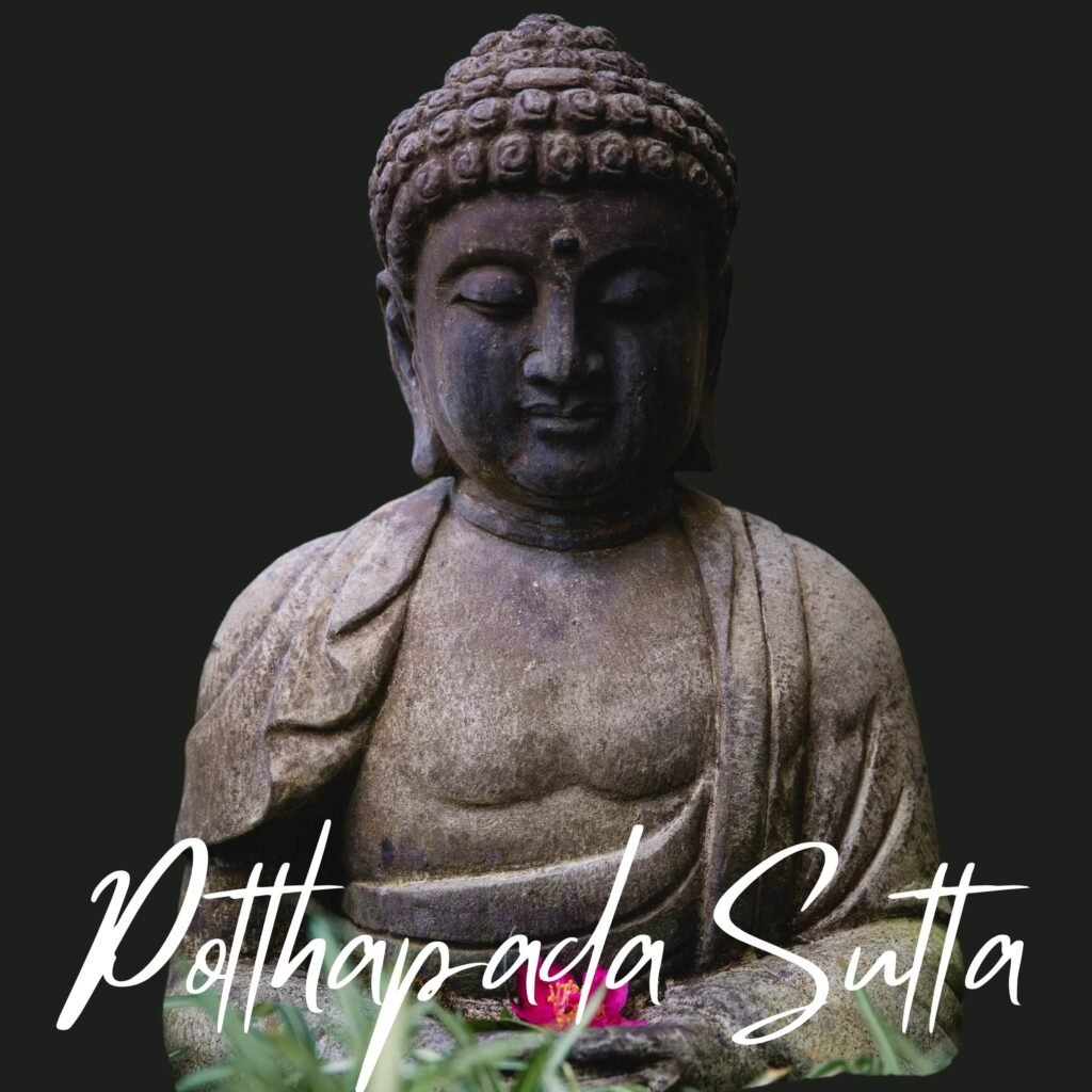 Buddha and the concept of Anatta in Potthapada Sutta